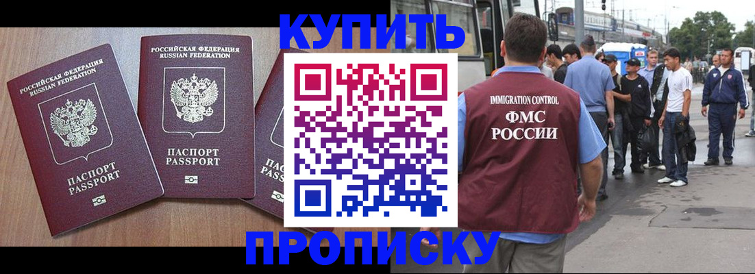 прописка 2025 в Королёве
